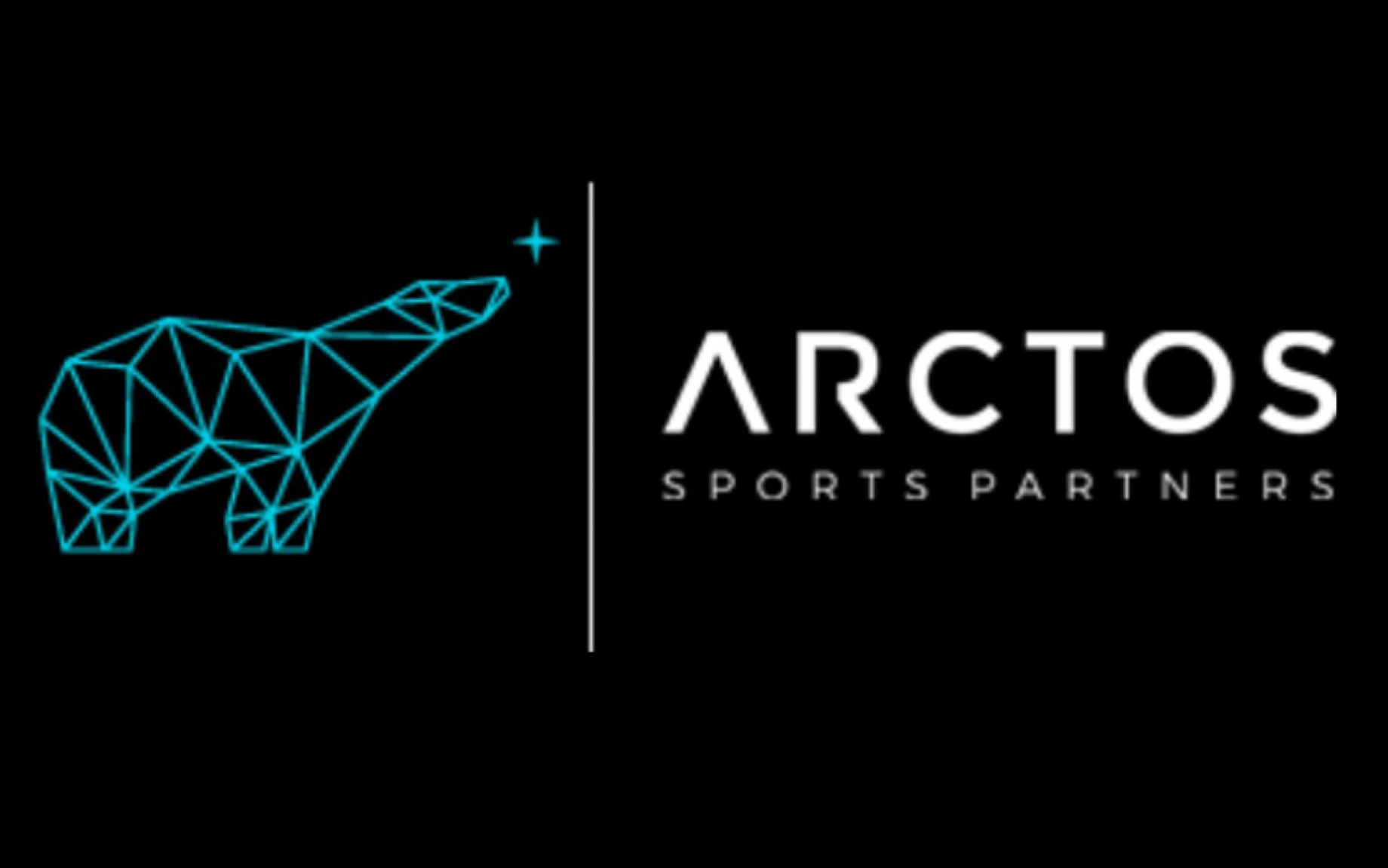 arctos-sports-partners-screen.jpg