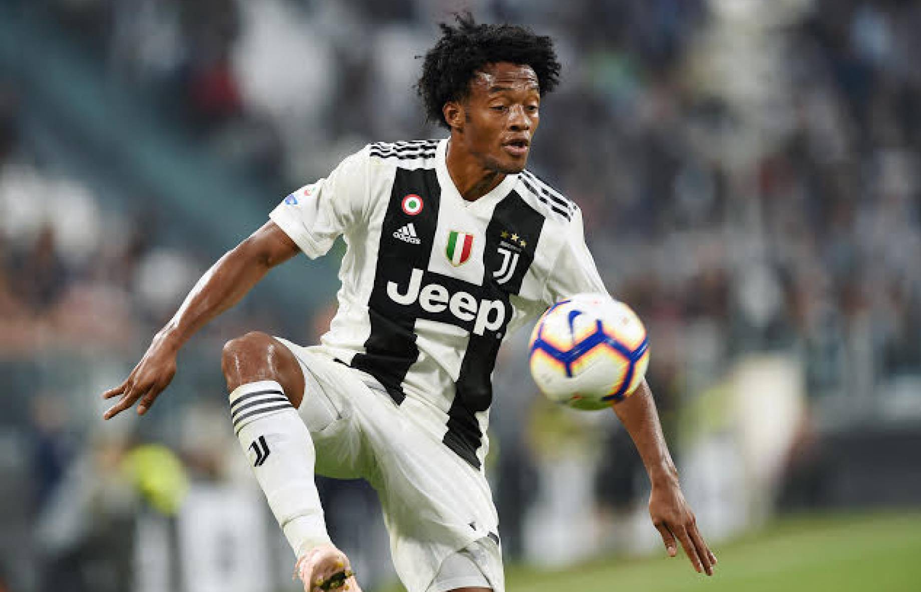 cuadrado