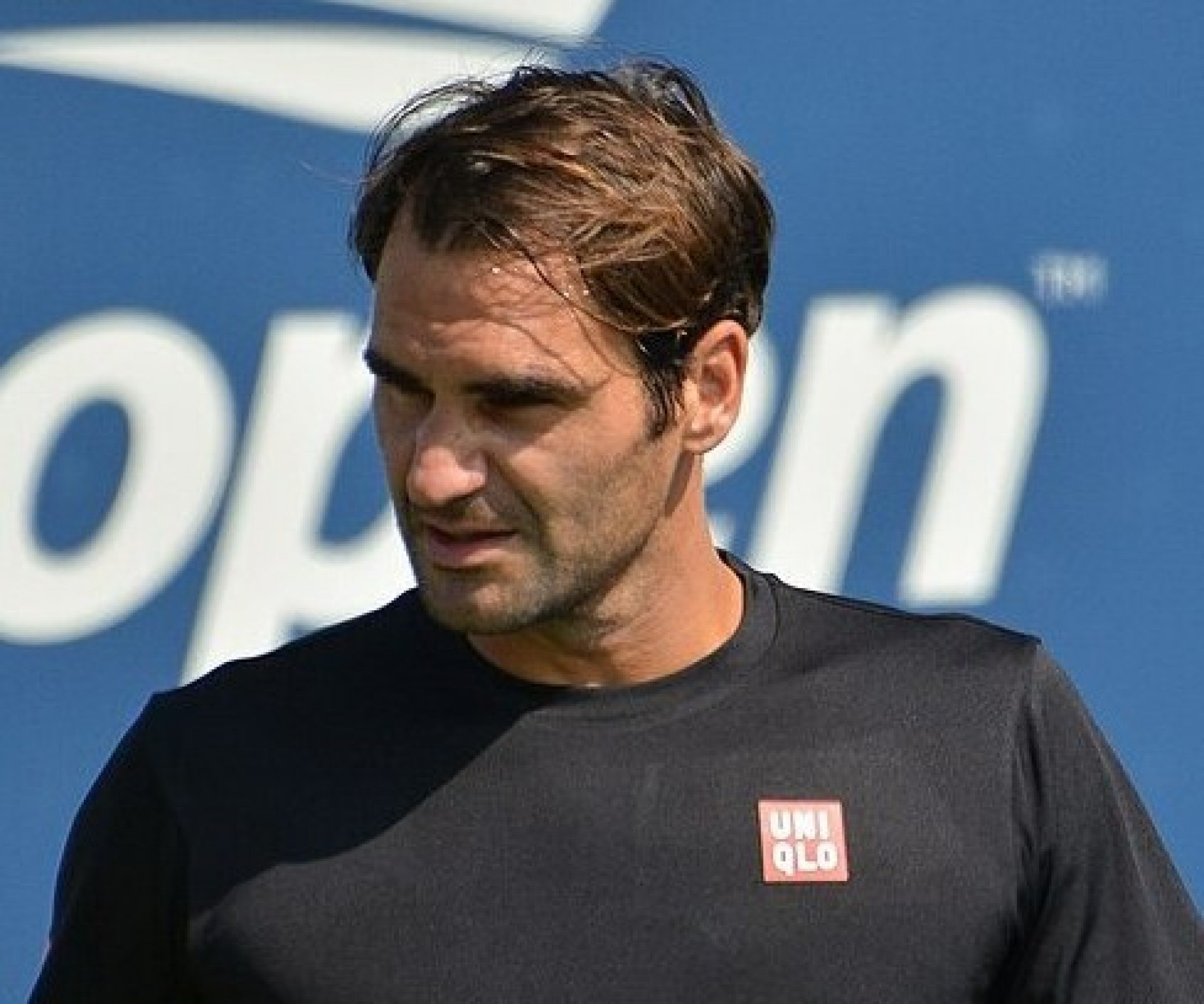 Federer GDM.jpeg