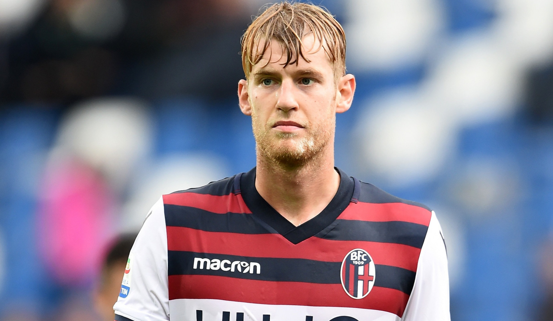 helander-bologna-image.jpg