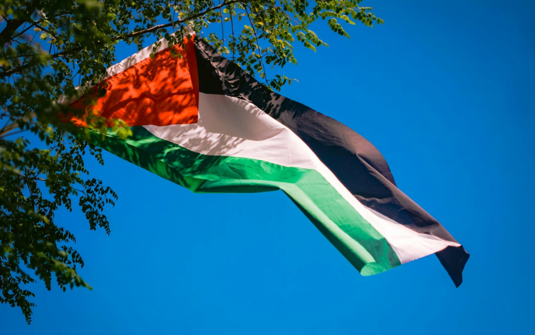 palestina-bandiera-pexels-crediti-liberi.jpg