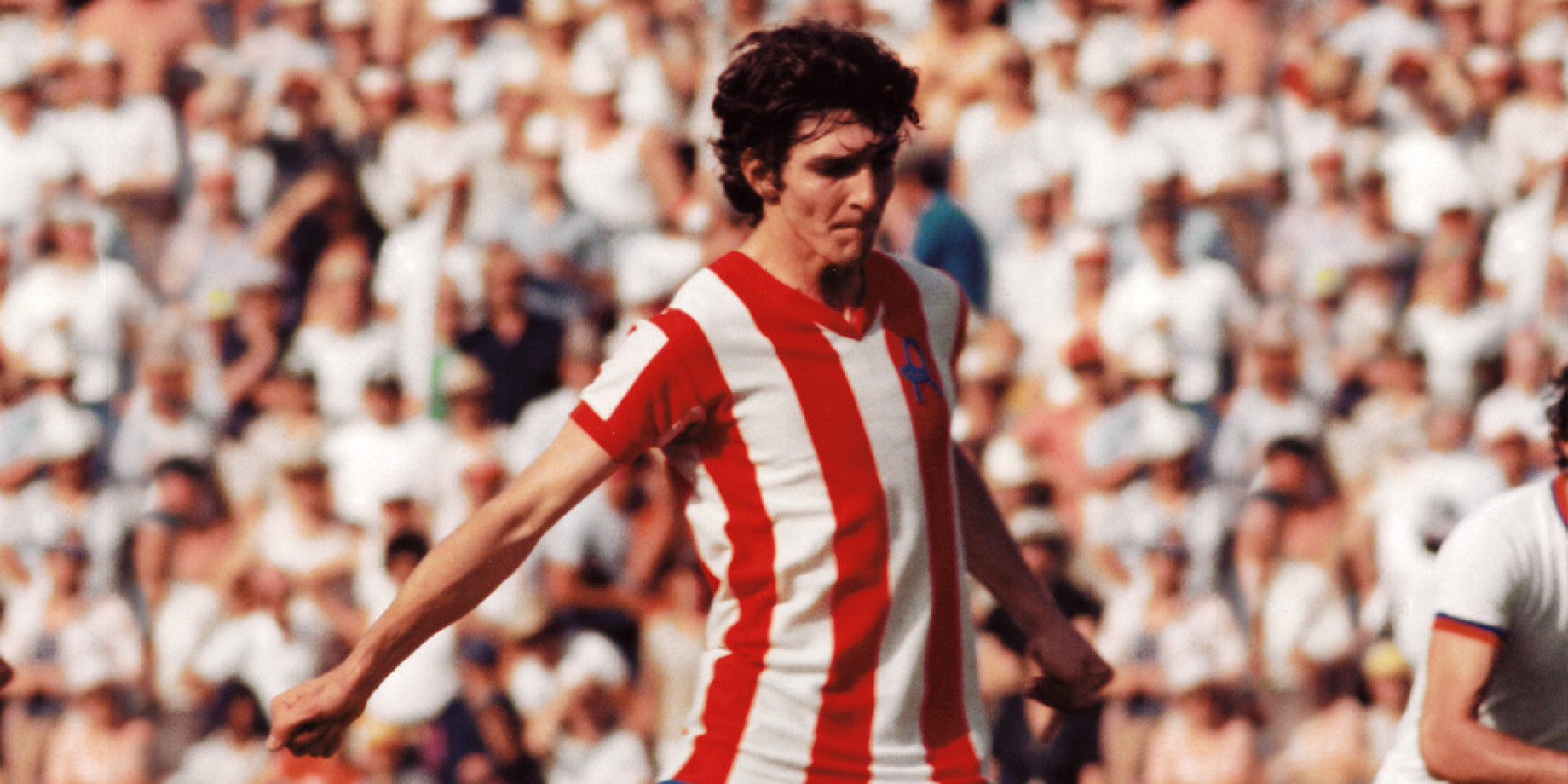 paolo_rossi_vicenza.jpg