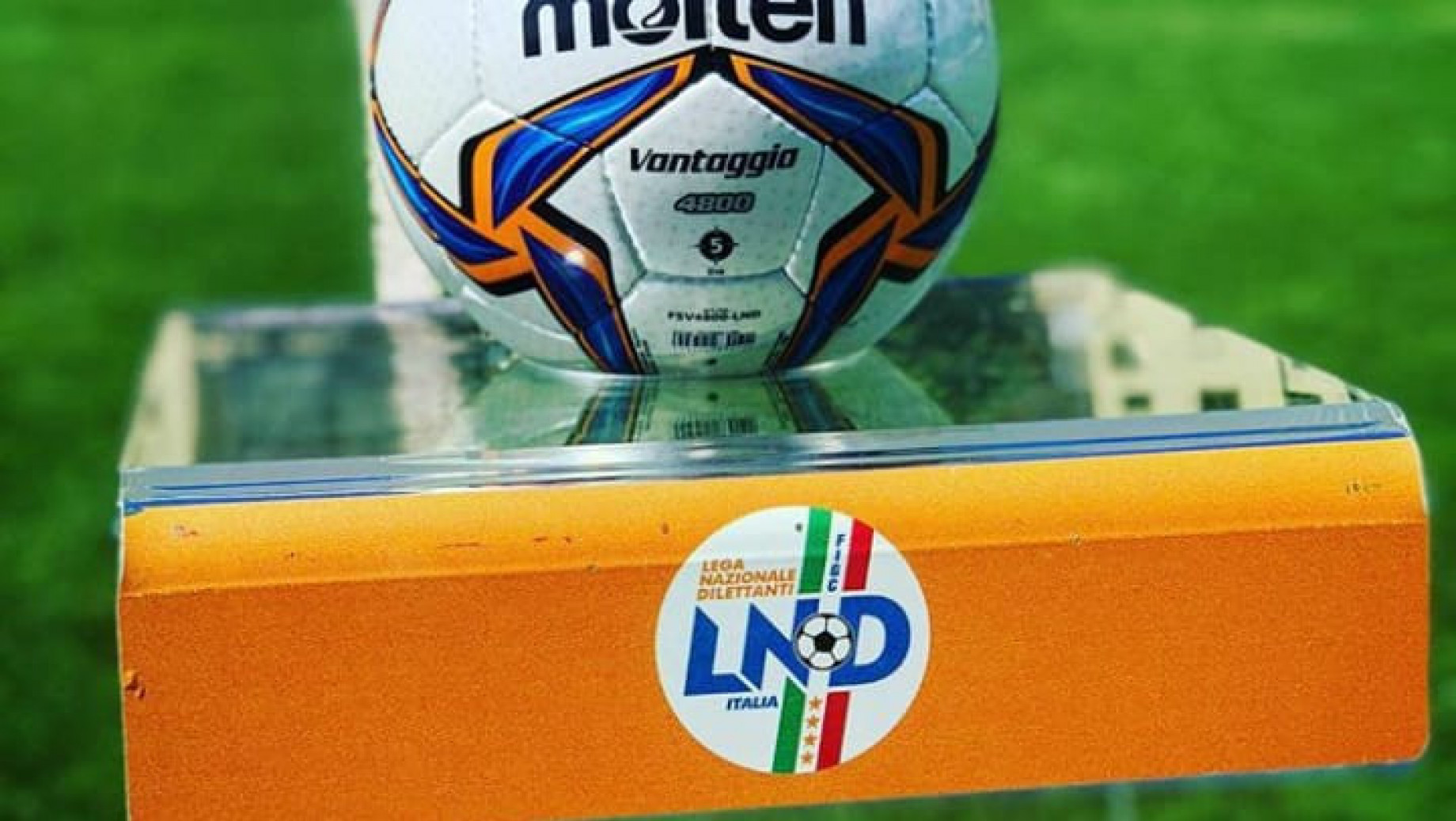 Serie D logo .jpg