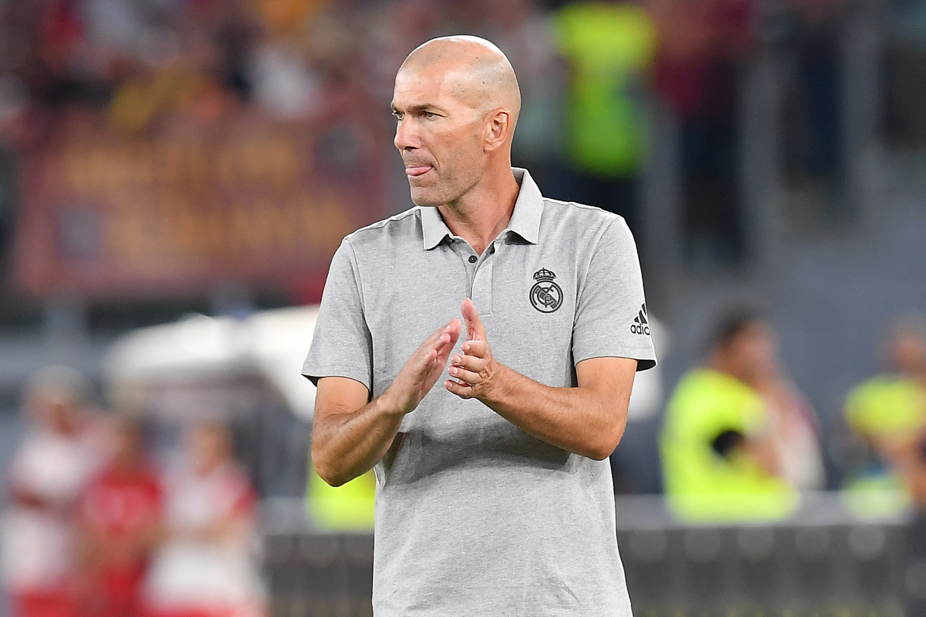 Zidane_DSC_4421.jpg