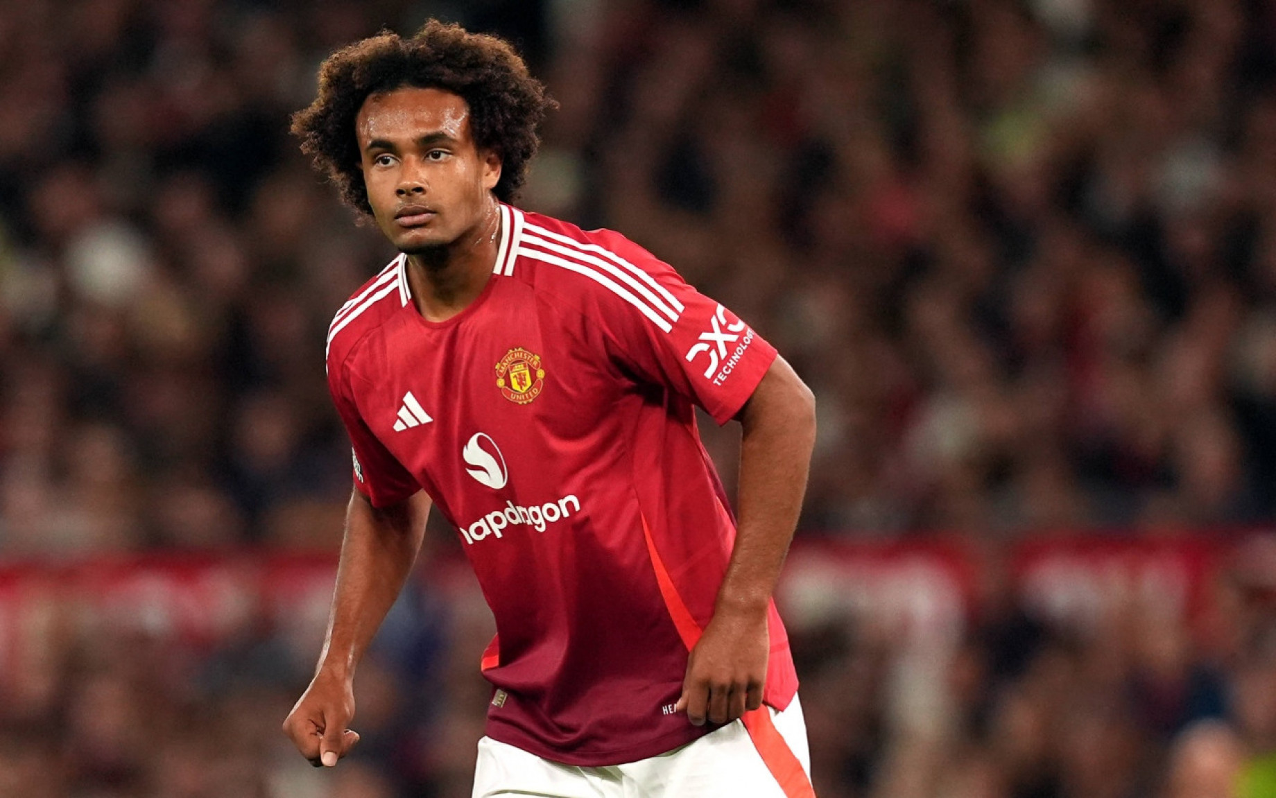 zirkzee-manchester-united-imago.jpg