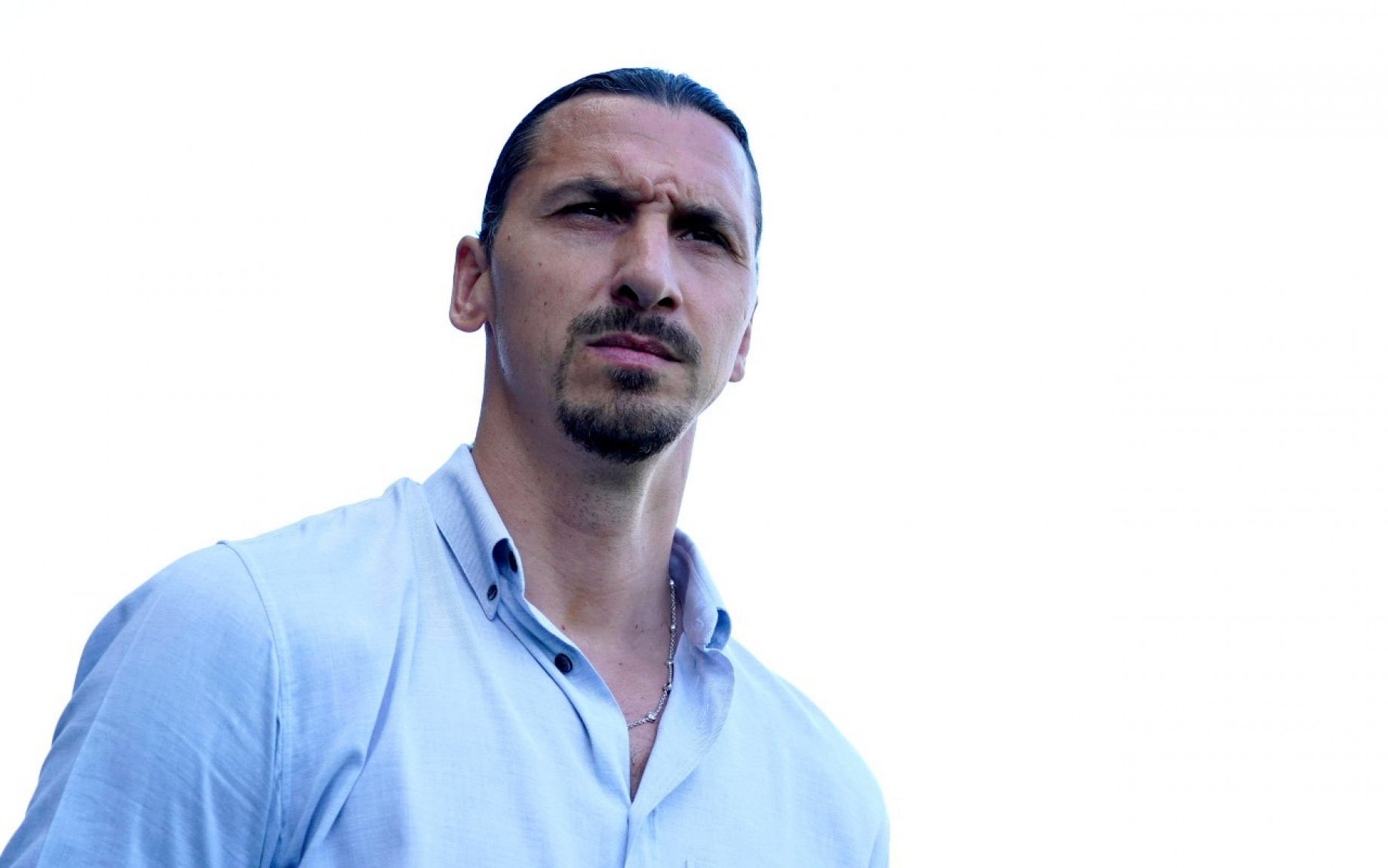 zlatan-ibrahimovic-imago.jpg