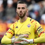 David De Gea, Fiorentina (imago)