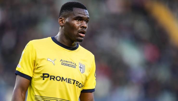 bonny-imago-gpo-interna (1)