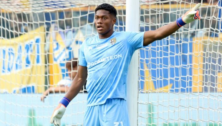 suzuki-parma-imago-INTERNO