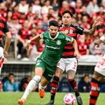 Flamengo-Palmeiras (IMAGO)