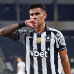 Botafogo, David Ricardo (imago)