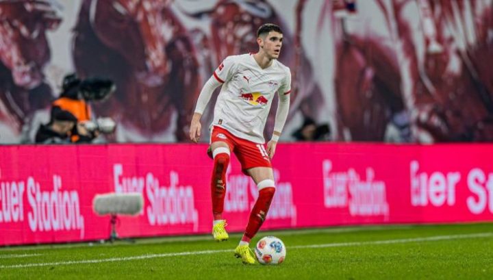 Fiorentina, il retroscena su Nedelijkovic