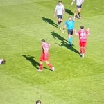 Il momento dell'espulsione di Carboni in Spezia-Monza(screen)