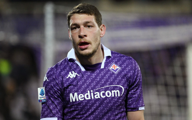 belotti_fiorentina_agency.jpg