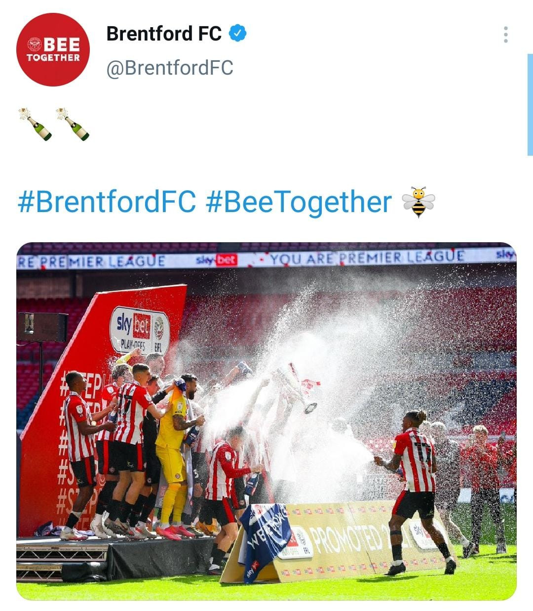 brentford-screen.jpeg