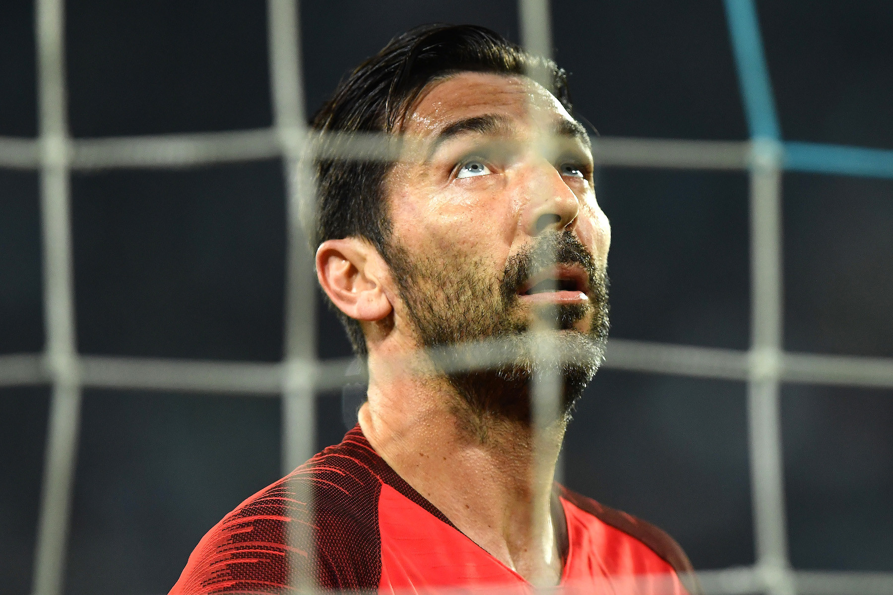 Buffon IMAGE