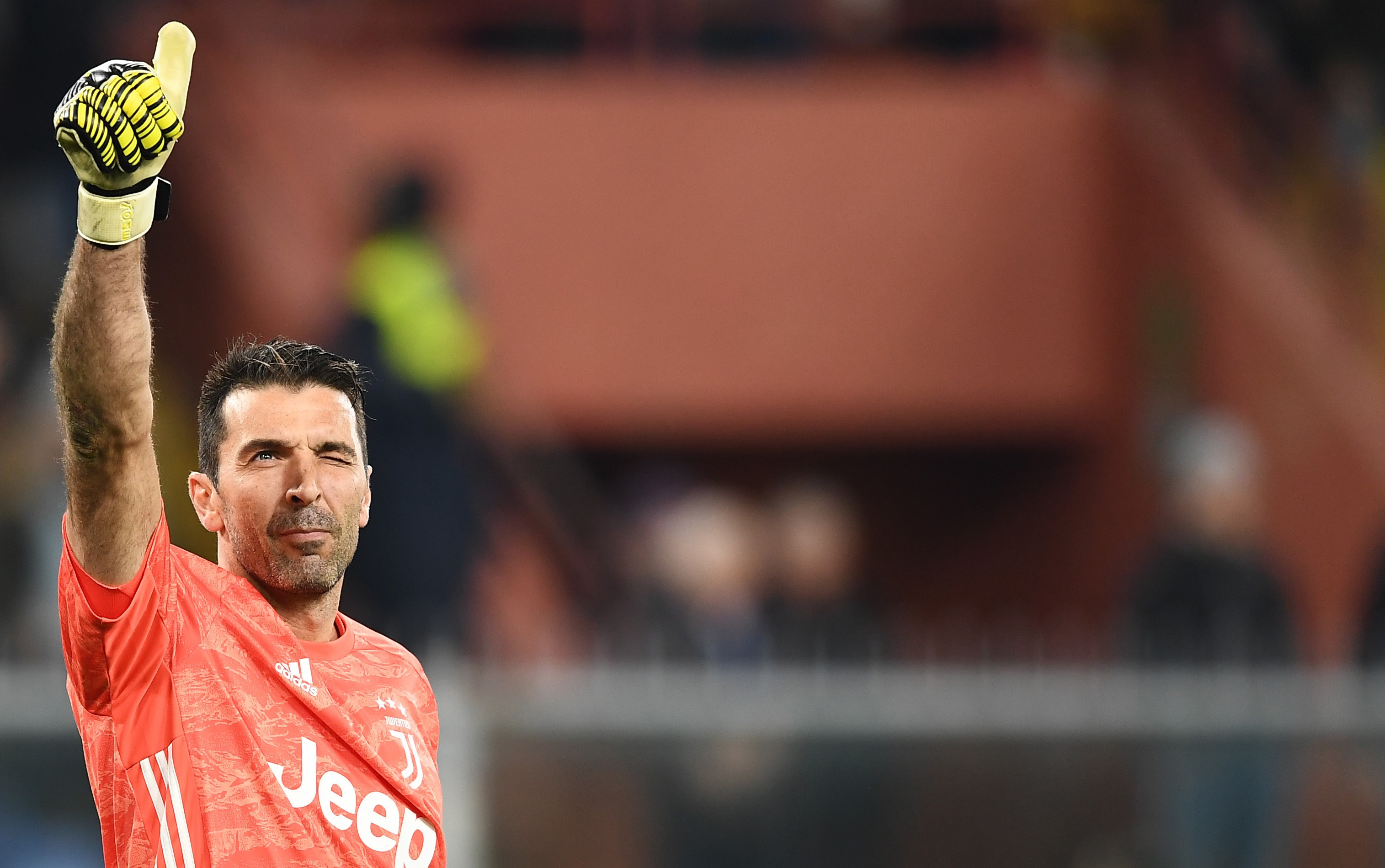 Buffon IMAGE