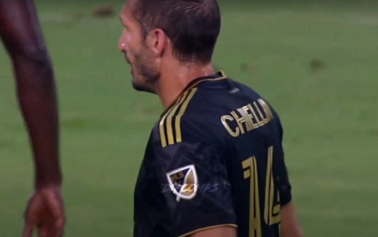 chiellini_screen_gpo-2.jpg