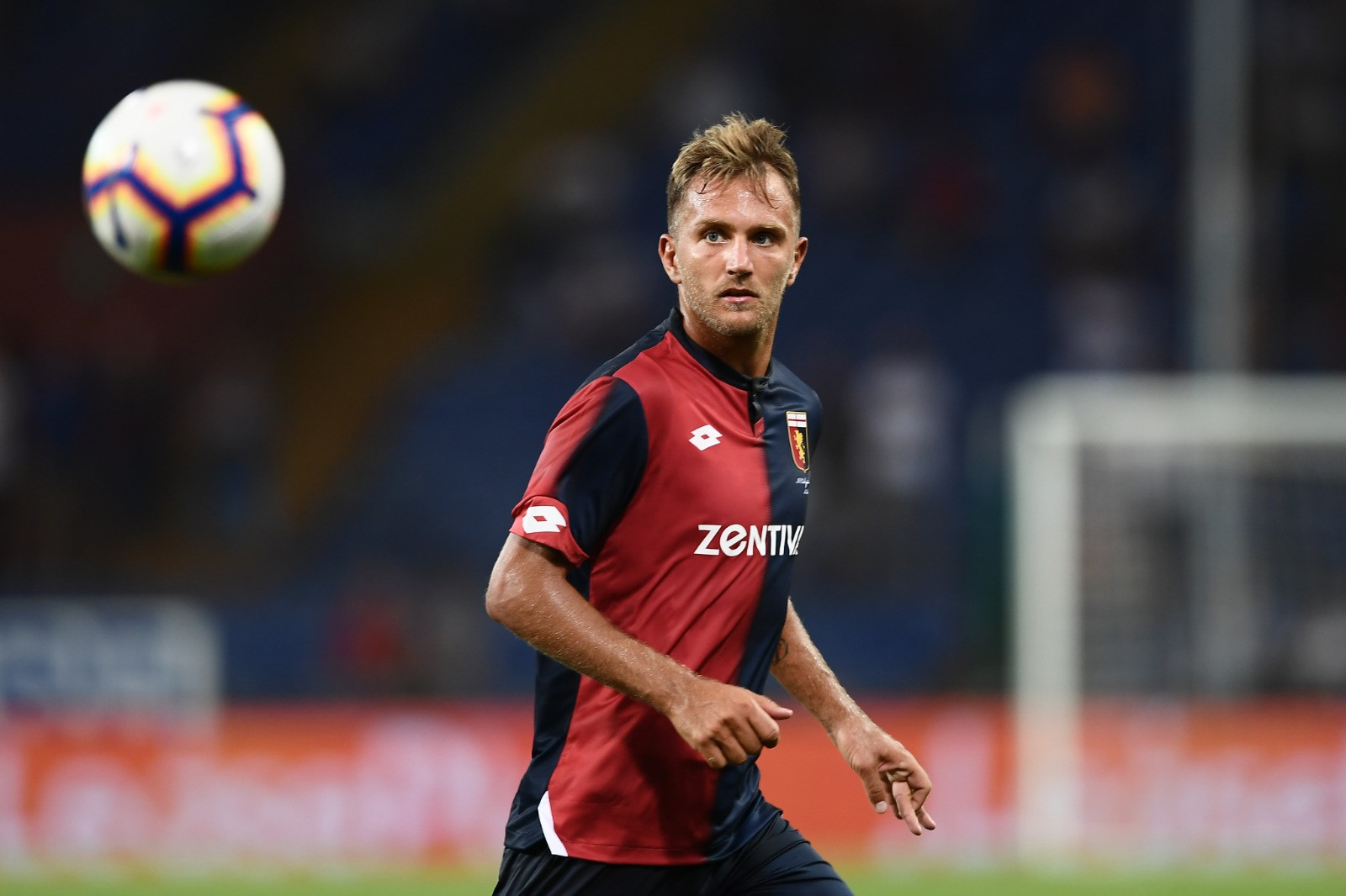 criscito IMAGE