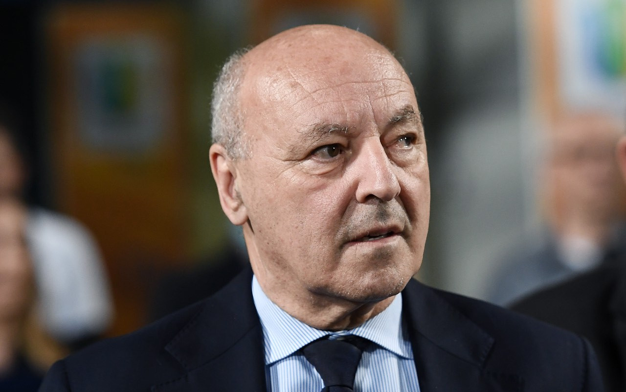 marotta_image.jpg