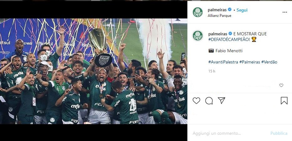 palmeiras_screen.JPG