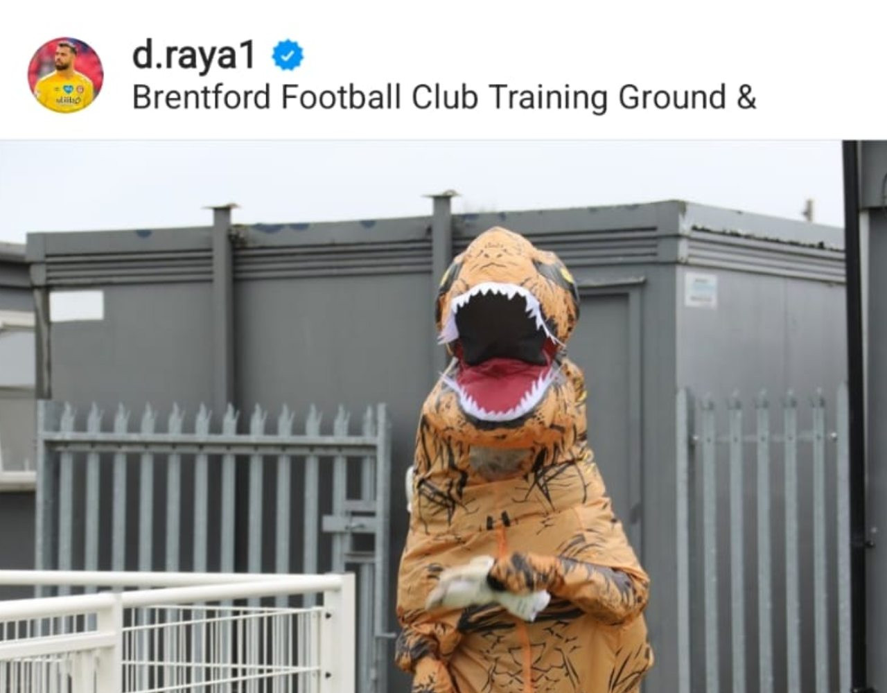 raya-brentford-dinosauro-screen.jpg