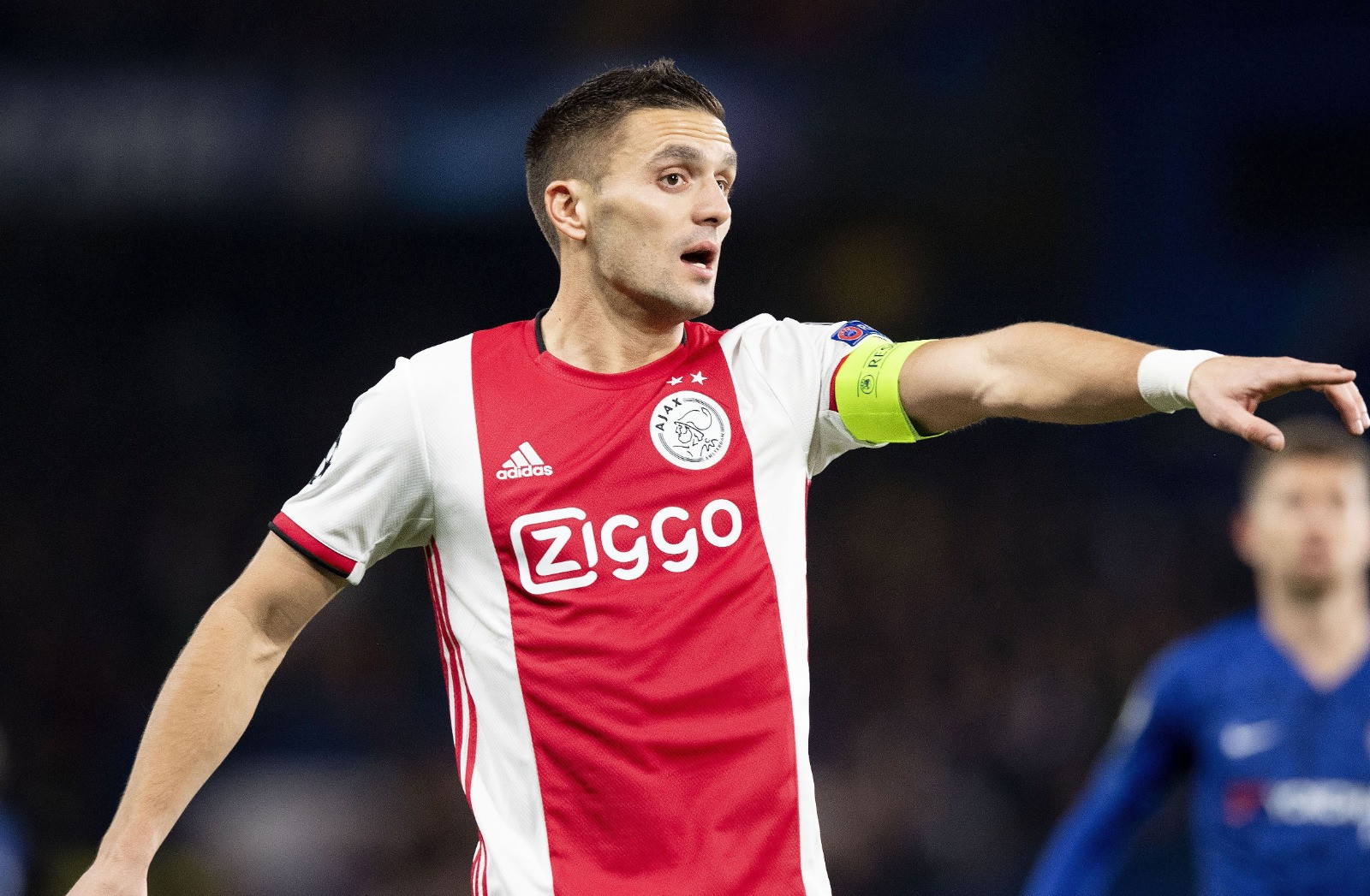 tadic_gallery.jpg