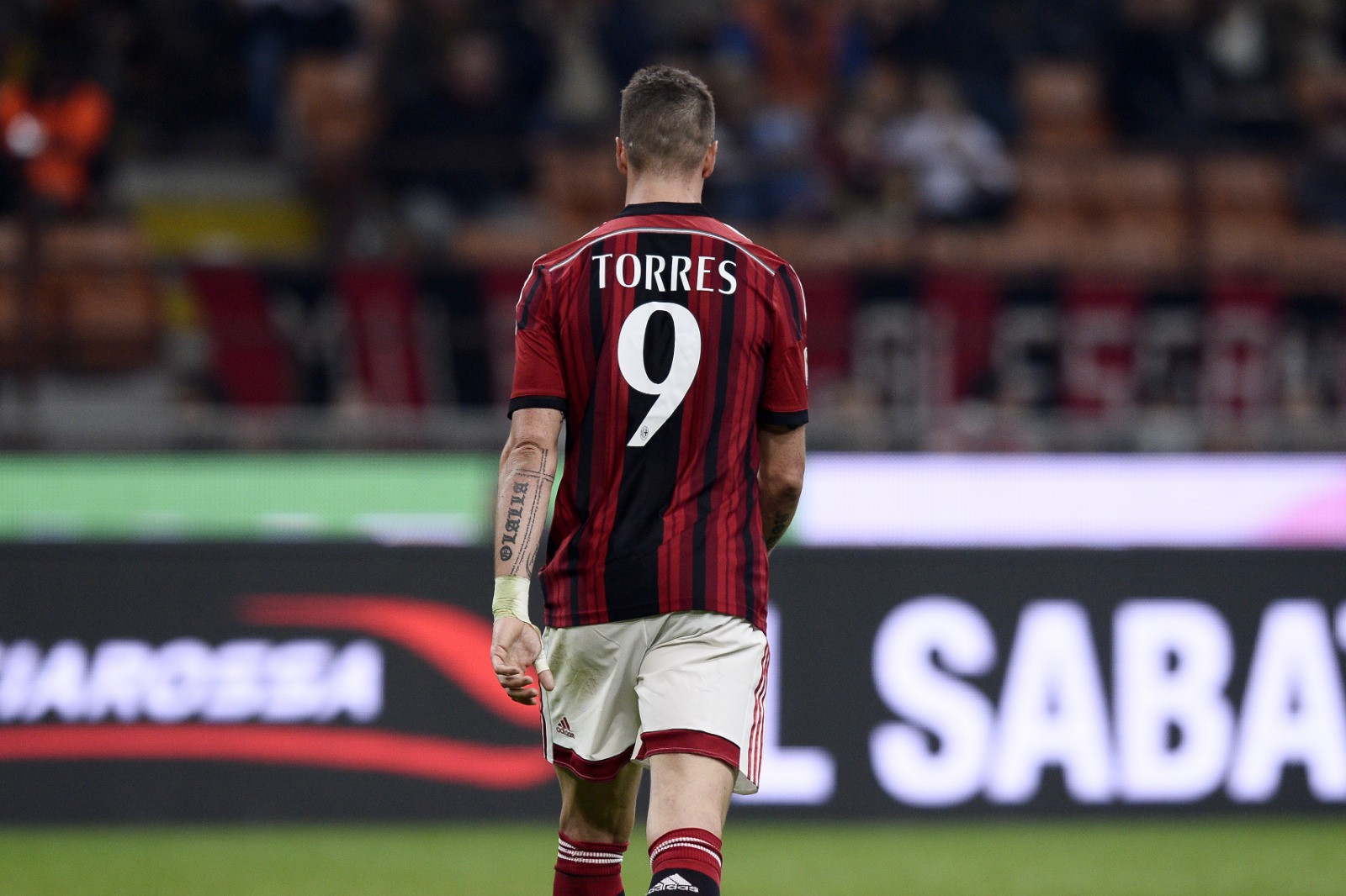 torres_gallery_image.jpg
