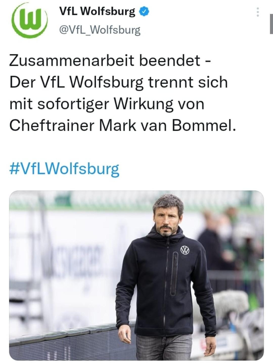 van-bommel.jpg